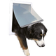 prod1000-dog_clip_3879-2_.png