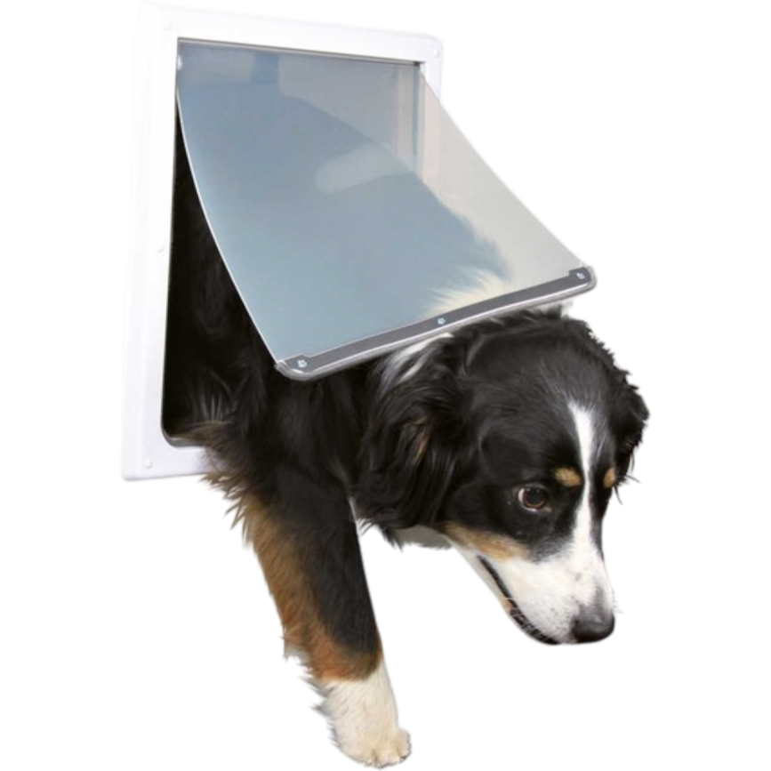 prod1000-dog_clip_3879-2_.png