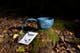 Kupilka_cup_12_3012LM115_Moomintroll_Coffee_Muumipeikko_kahvilla_Bl_vibe_fall_2_web.jpg