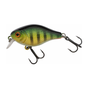 Perch