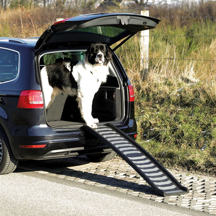 prod1000-pro_dog_39477-1.png