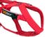 combined_harness_2.jpg
