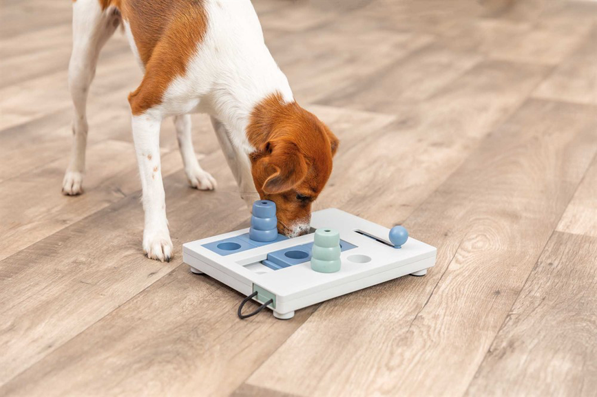 prod1000-dog_32029-5.png