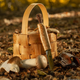 cdn-shop-files-177192679-origpic-d5623a_1080x.png