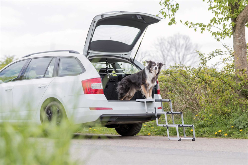prod1000-image_dog_bordercollie-sonic-falttreppe-auto-6.png