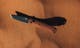 537BK-07_bild.jpg
