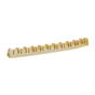 Denta Fun Veggie Jaw Bone