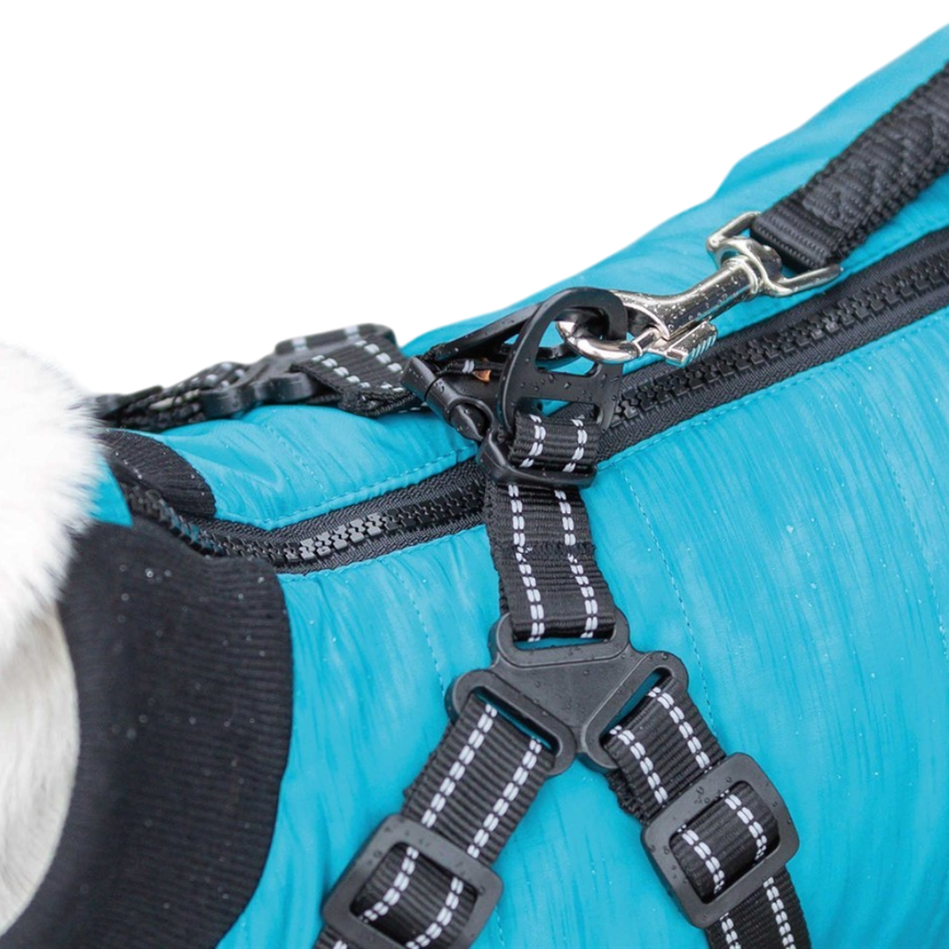 prod1000-jackrussellterrier-nieke-geschirrmantel-pontis-det.png