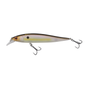 Sexy Shad