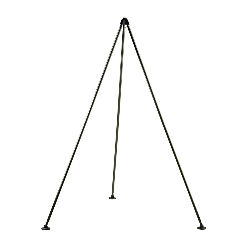 svs_plm041_ms.png