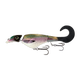 0035-7475-9494-files-colossus-curly_rainbow-trout_8f1de72e-a33d-4748-a55b-194395db9f20.png