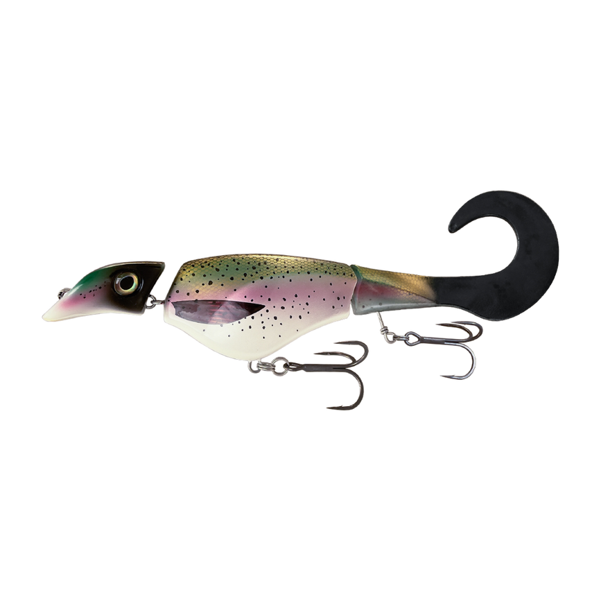 0035-7475-9494-files-colossus-curly_rainbow-trout_8f1de72e-a33d-4748-a55b-194395db9f20.png