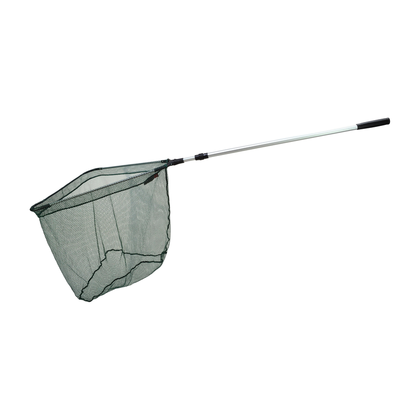 1315263_ms.png