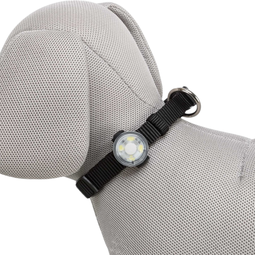 prod1000-clip_13450-4.png