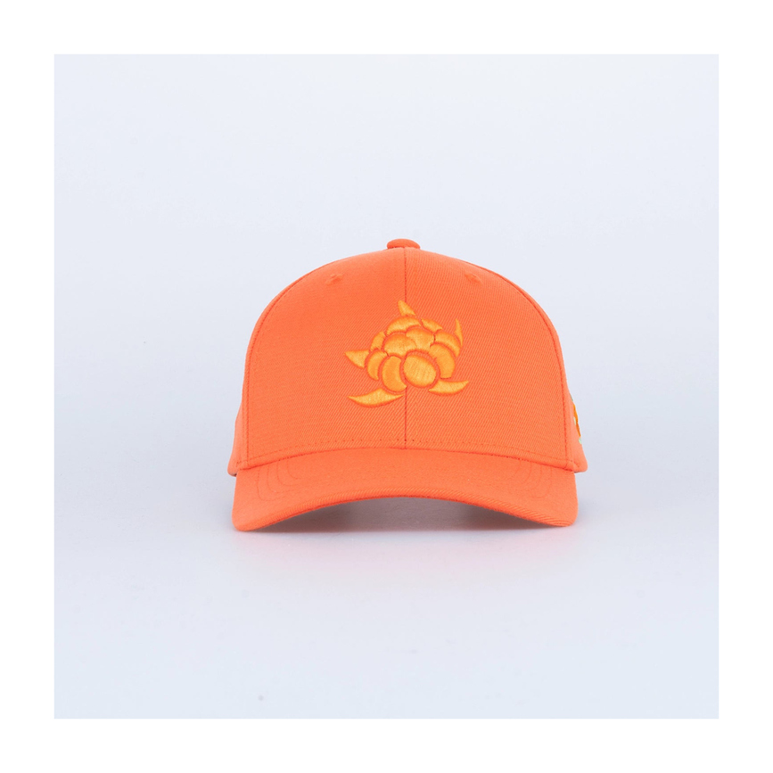 files-cbbigkidshookedkeps-orange.png