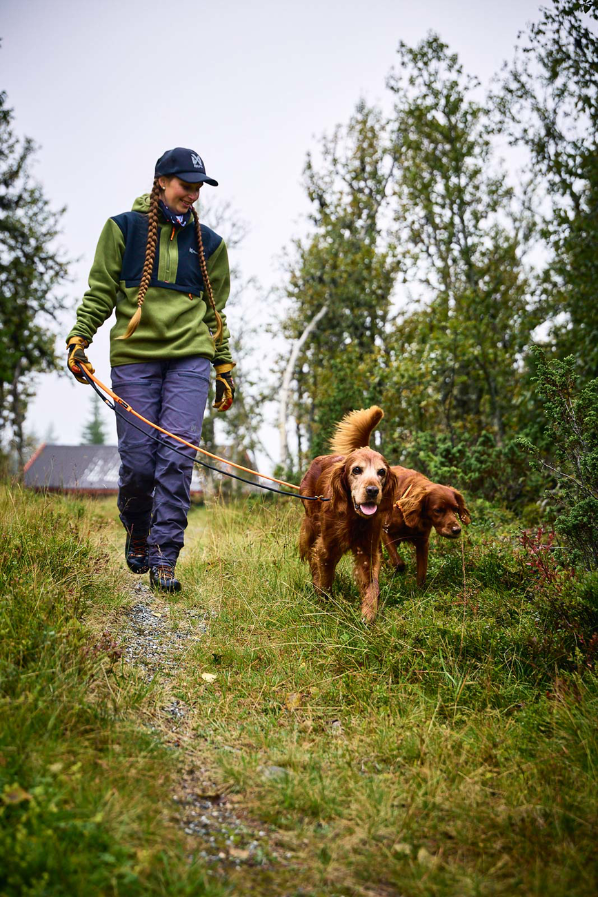 retriever_leash_setting_4.png