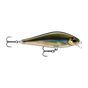 Smelt On The Beach
