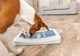 prod1000-dog_32051-13.png