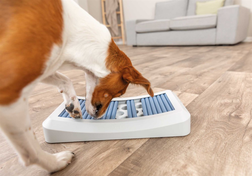 prod1000-dog_32051-13.png