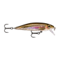 Live Rainbow Trout