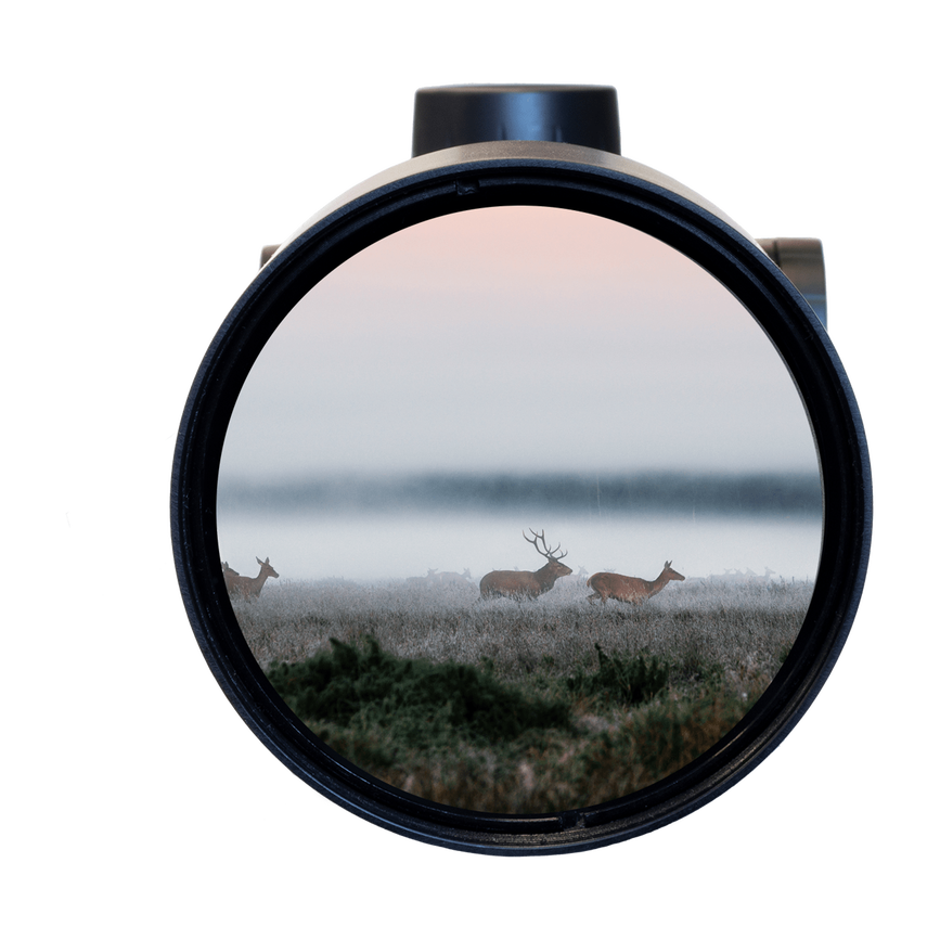 98-69-c2-1678178870-ranger_scope_sehfeld_after.png