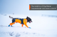 protector_snow_setting_3.png