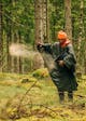 1110-504-42_Pinewood-Env-0001-0012_0058_9163-120_1110-504.jpg