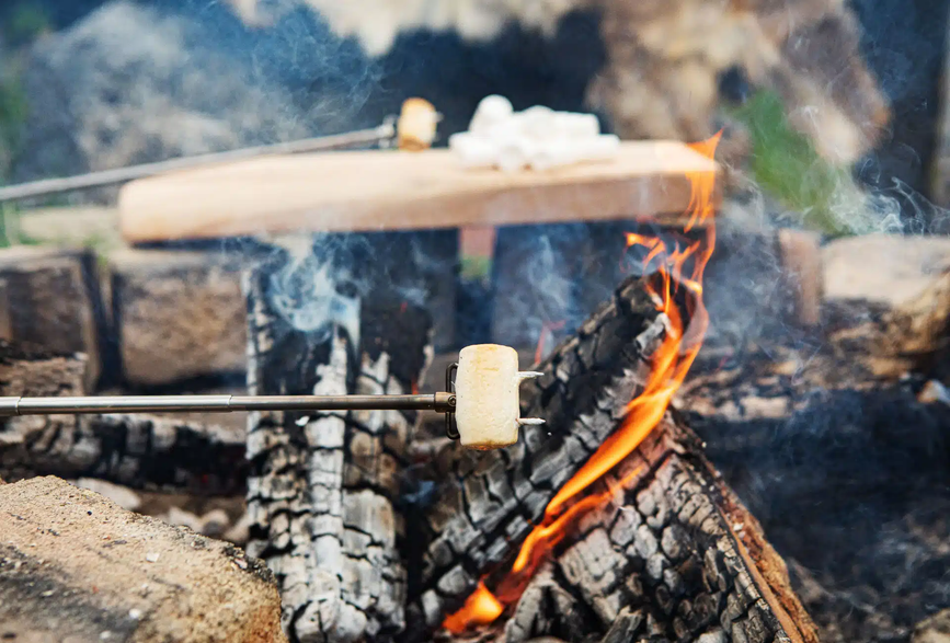 2020-09-marshmallow2_.webp.png