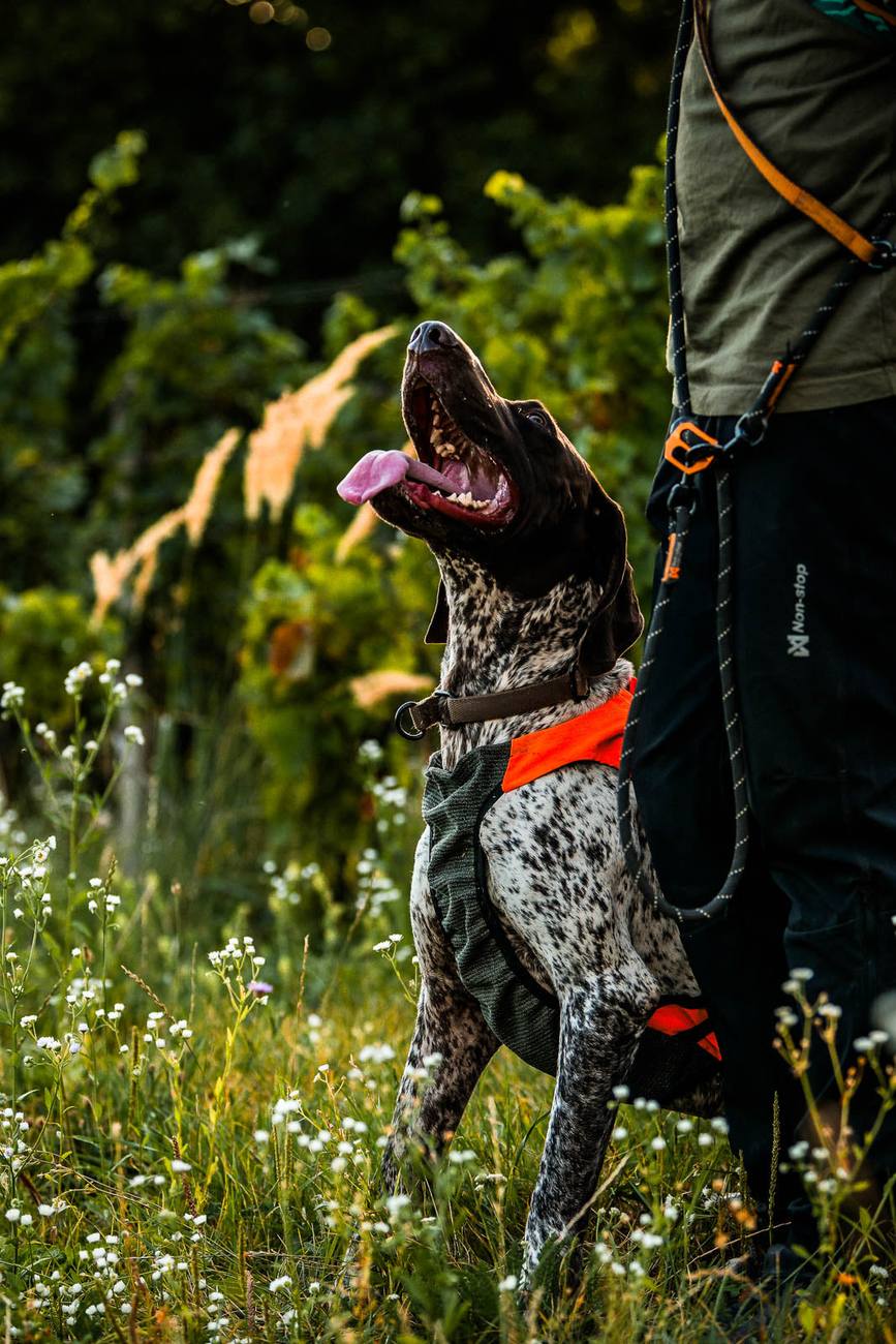 protector_vest_gps_2_setting_2.png