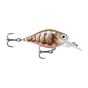 Purple Prawn UV