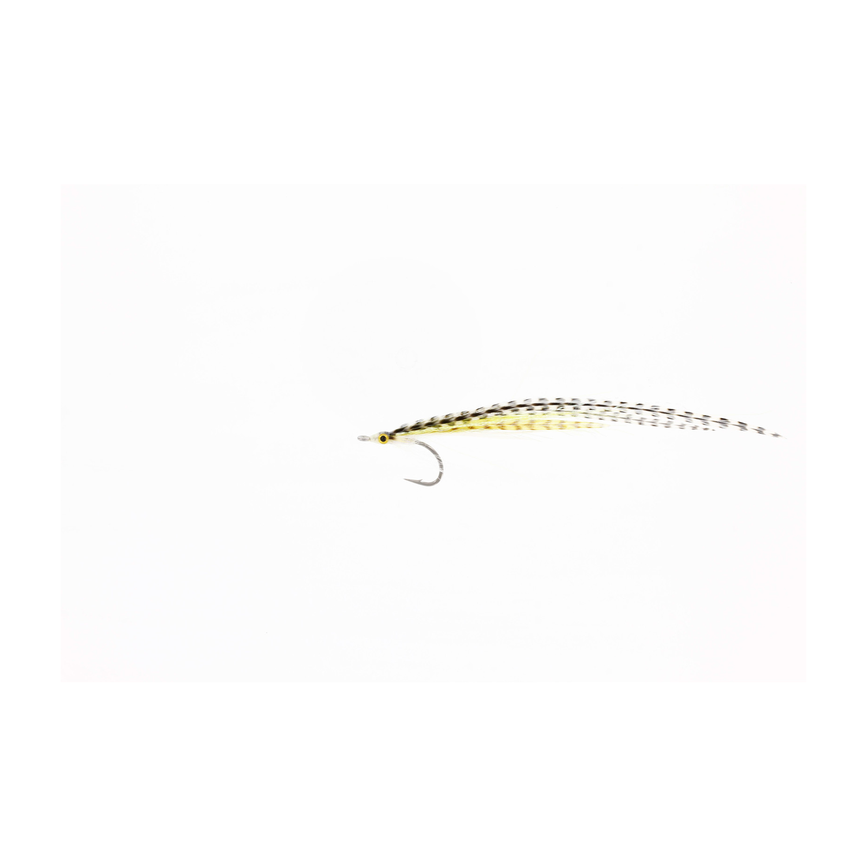 4-fairpoint-public-pim-bc-830dd006-c1d4-4864-ab20-c3e081939425-fl00720m_fl00745_flatwingtobis_large.png