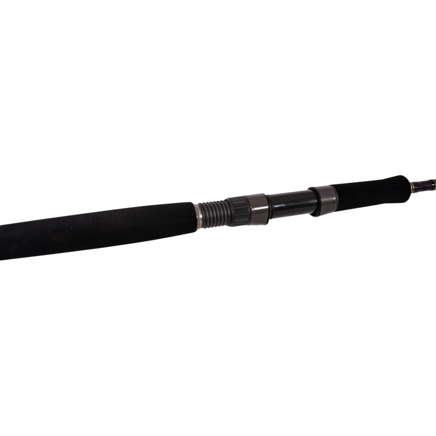 at200g2260100_5_golden_feather_spinning_7'4____226cm_100g.png
