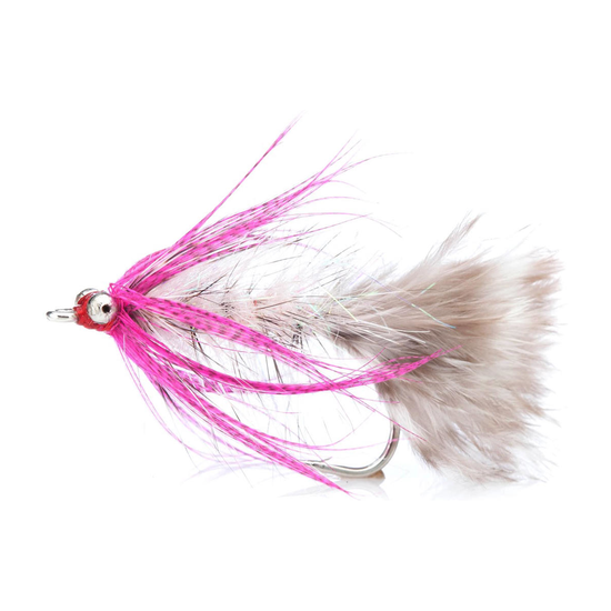 4-fairpoint-public-pim-bc-d1ed2b98-530d-4b40-97d3-c0476f8220a8-fl00509_polarmagnus_large.png