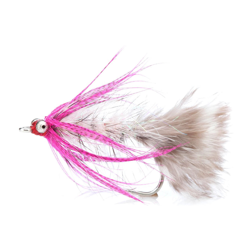 4-fairpoint-public-pim-bc-d1ed2b98-530d-4b40-97d3-c0476f8220a8-fl00509_polarmagnus_large.png