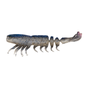 White Shrimp
