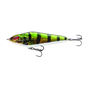 Live Perch