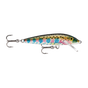 Rainbow Trout