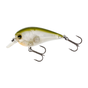 Clear Olive