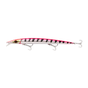 Pink Barracuda