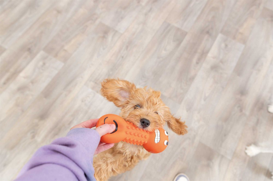 prod1000-pro_dog_35251-10.png
