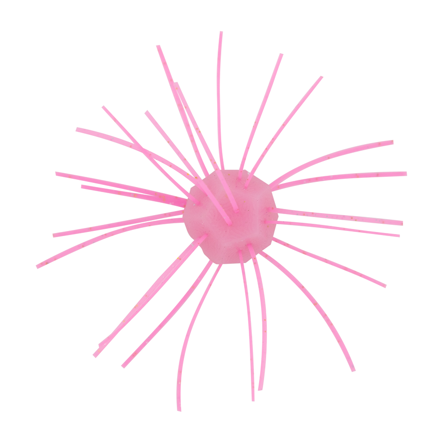 fzn-23.png