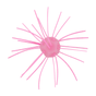 Bubble Gum