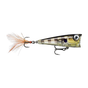 Glassy Gill UV