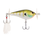 MF Bluegill