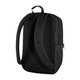raven_28_23345-550-550_b_main_fjr.png