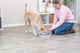 prod1000-dog_32053-8.png