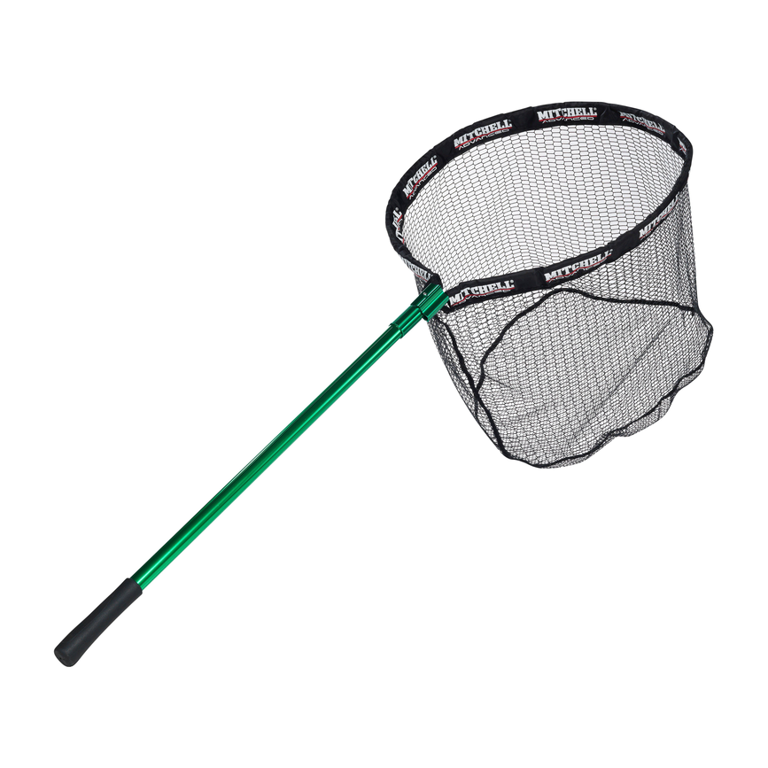 1381694_ms.png