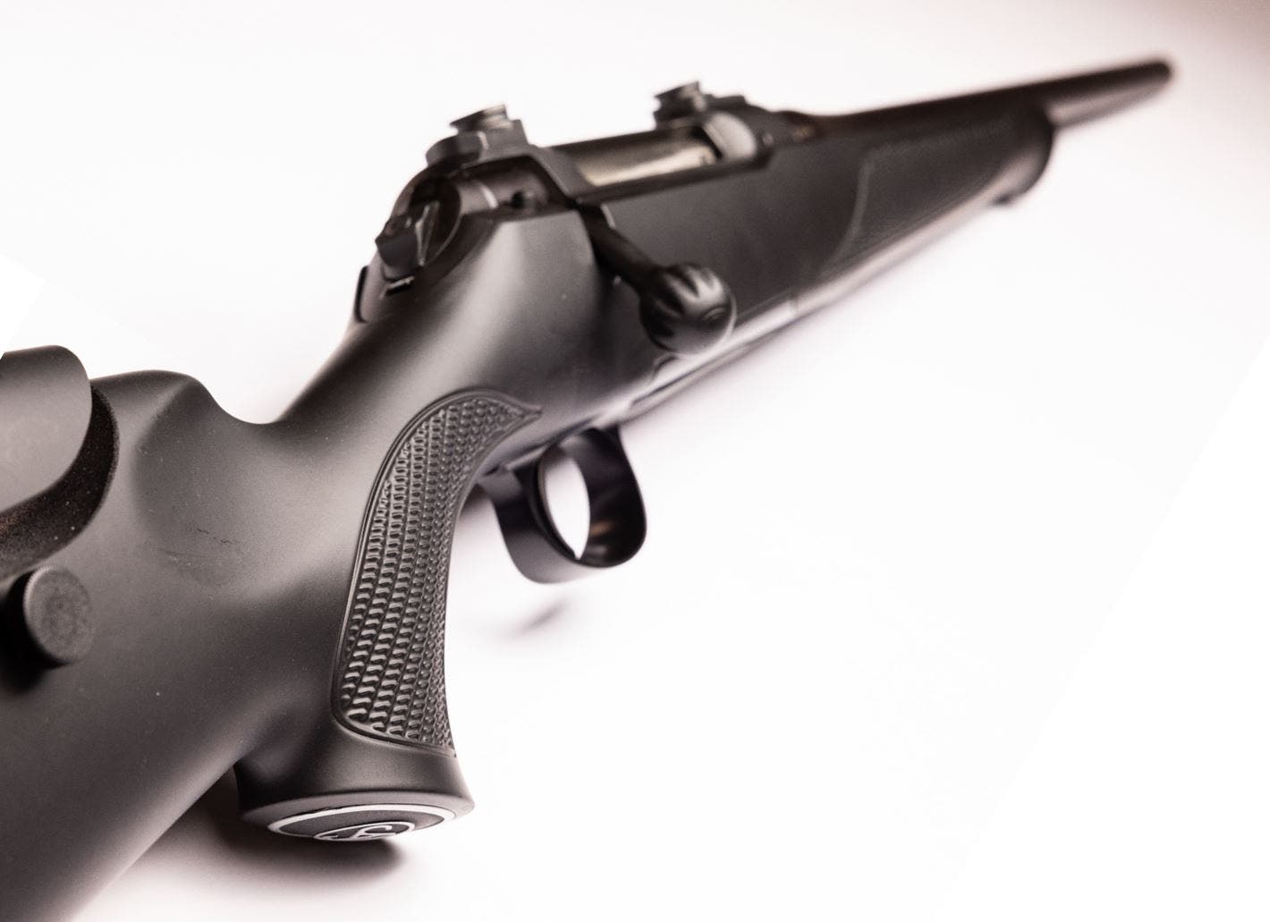 nom-sauer-101-classic.jpg