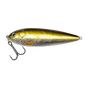 Golden Roach