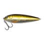 Golden Roach